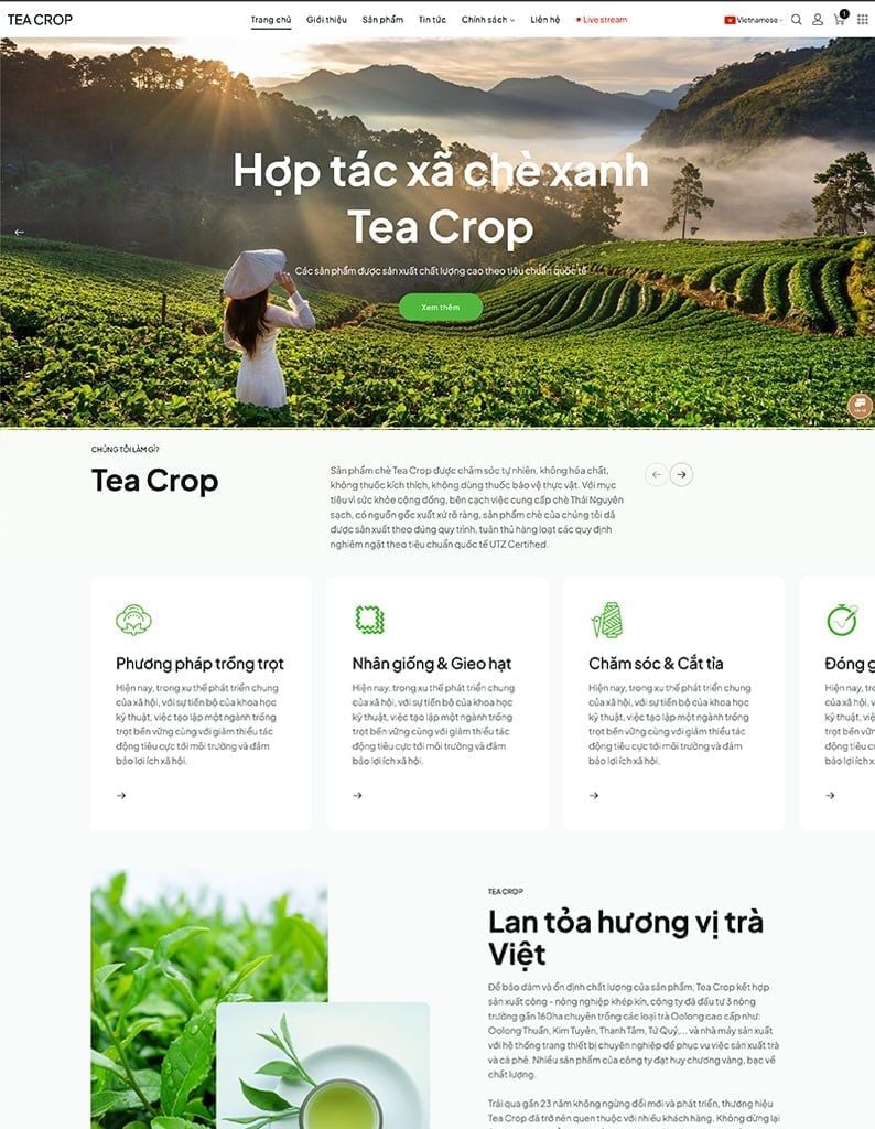 Tea Crop