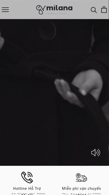 Mẫu website Evo Milana