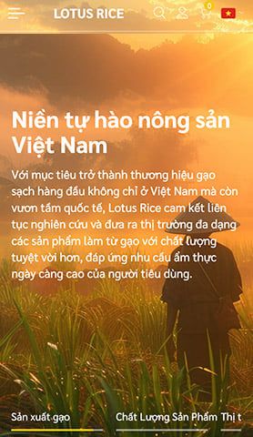 Mẫu website Nông nghiệp - Gạo Lotus Rice