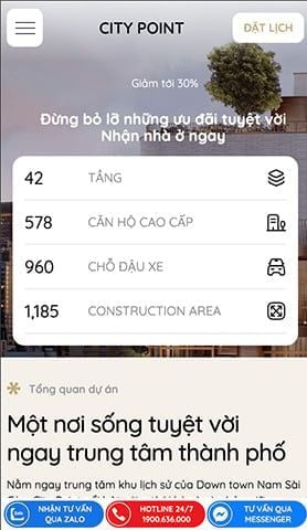 Mẫu website City Point