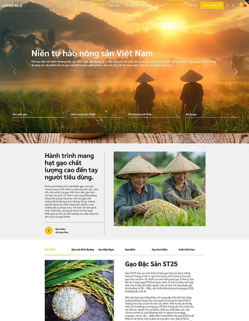 Nông nghiệp - Gạo Lotus Rice