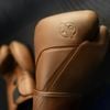 Găng Tay Hayabusa E1 Leather Boxing Gloves - Brown