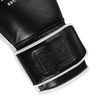 Găng Tay Everlast Powerlock OG Pro Training Glove Hook & Loop - Black