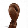 Găng Tay Cleto Reyes Hook and Loop Training Gloves - Vintage Edition