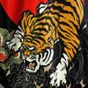 Quần TUFF Muay Thai Boxing Short 