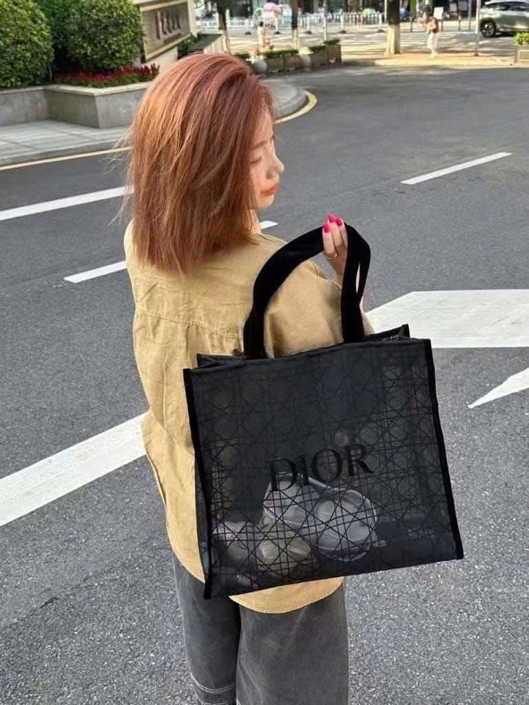 Túi Tote Dior Luxury