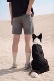Quần Short Straight Jean Distress Casual Gray V1