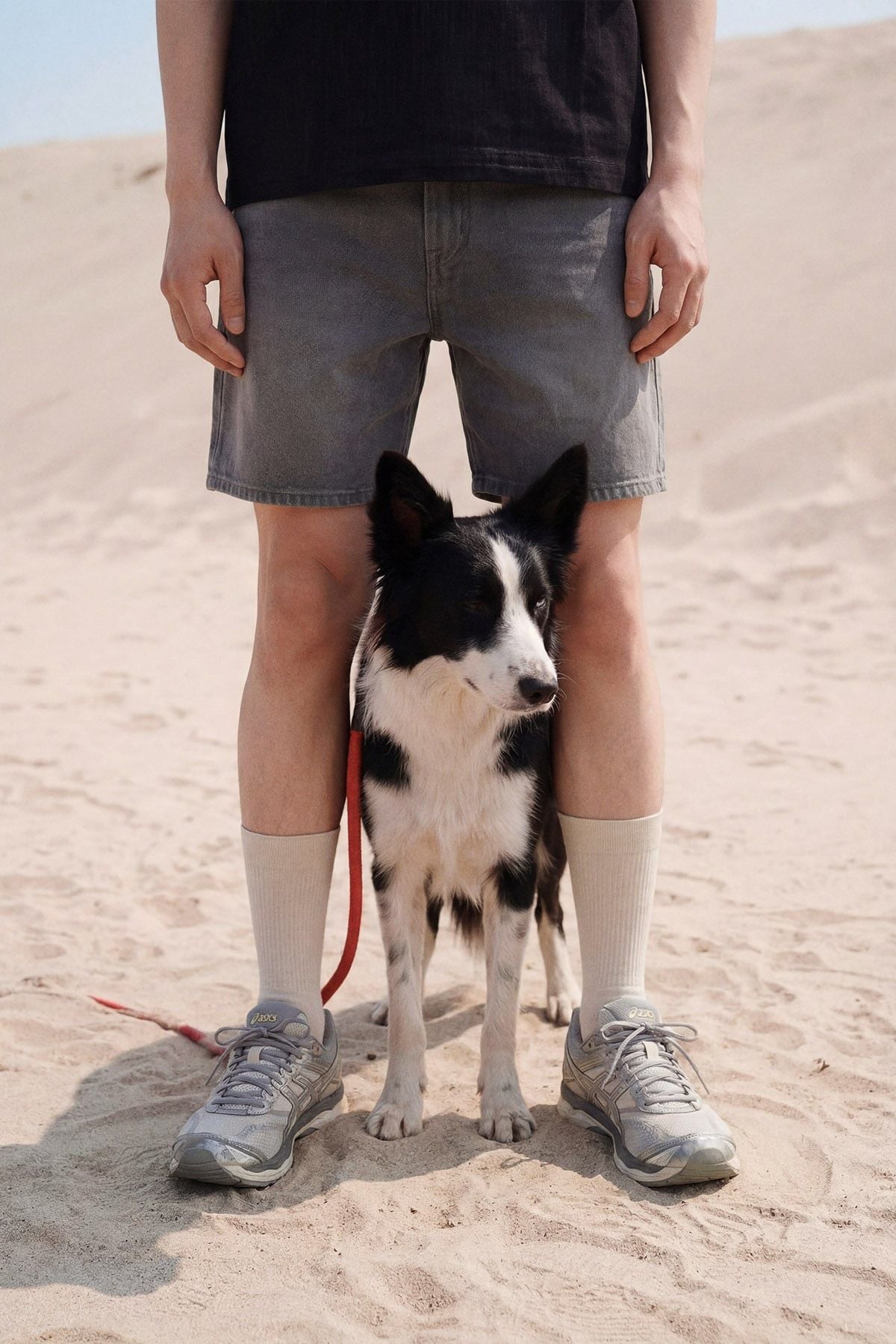 Quần Short Straight Jean Distress Casual Gray V1