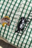 Áo Sơ Mi Relaxed Gingham Greenie Stickers