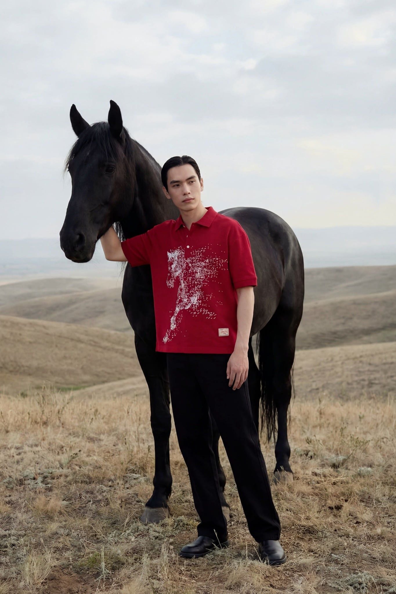 Áo Polo Boxy Mã Đáo Thành Công