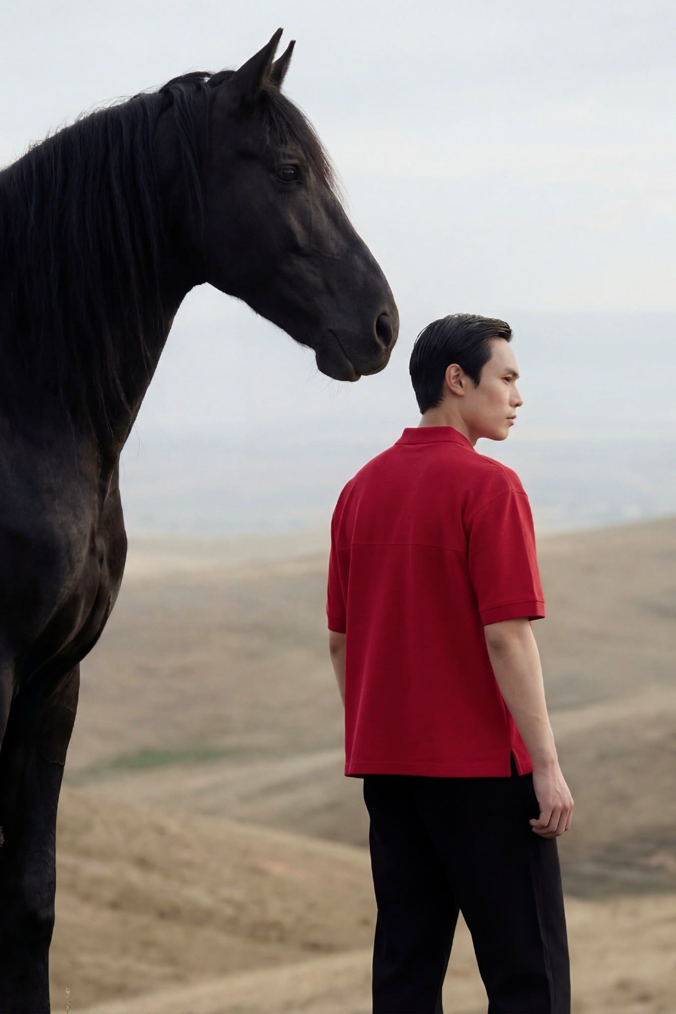 Áo Polo Boxy Mã Đáo Thành Công