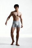 Boxer Brief New Comfort Colors