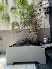 [LỌC SINH HỌC] Hồ cá non bộ composite Anber Fish - Tiểu cảnh non bộ cây Cần Thăng