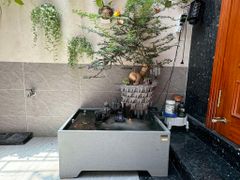 [LỌC SINH HỌC] Hồ cá non bộ composite Anber Fish - Tiểu cảnh non bộ cây Cần Thăng