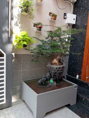 [LỌC SINH HỌC] Hồ cá non bộ composite Anber Fish - Tiểu cảnh non bộ cây Cần Thăng