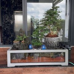 [LỌC SINH HỌC - 1 MẶT KÍNH] Hồ cá non bộ composite Anber Fish - Núi đá thác nước phong thủy