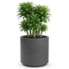 XXL Chậu composite Anber PONOS (Smartline)