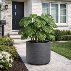 XXL Chậu composite Anber PONOS (Smartline)