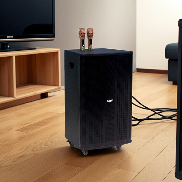 Loa kéo D550 Goldsound (Bass 40 cm, 550w, kèm 2 Micro)