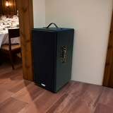 Loa Bluetooth D160PU-PI, pin 4-6h, công suất 165w, bass 20 cm, treble 10 cm, bluetooth 5.0, cổng cắm Micro, cổng rca, khe usb, thiết kế loa thùng gỗ cao 57 cm, rộng 28 cm, sâu 30 cm. Bảo hành 12 tháng