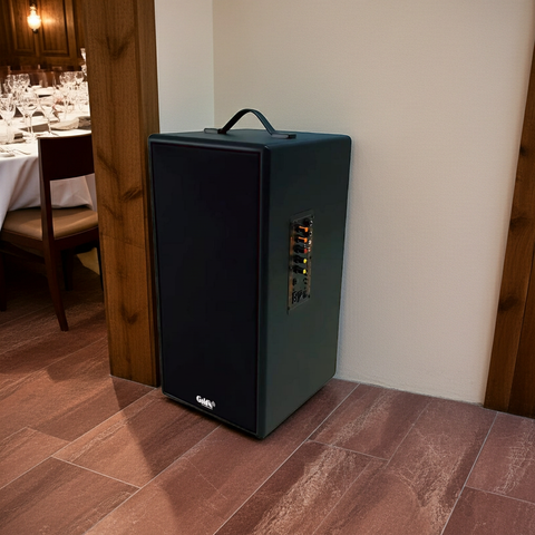 Loa Bluetooth D160PU-PI, pin 4-6h, công suất 165w, bass 20 cm, treble 10 cm, bluetooth 5.0, cổng cắm Micro, cổng rca, khe usb, thiết kế loa thùng gỗ cao 57 cm, rộng 28 cm, sâu 30 cm. Bảo hành 12 tháng