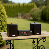 1 amply A2.0 + 2 loa V15: Amply, loa thông báo phát nhạc nền tự động được thiết kế riêng cho quán, bật lớn không tạp âm, bảo hành dài hạn 5 năm.