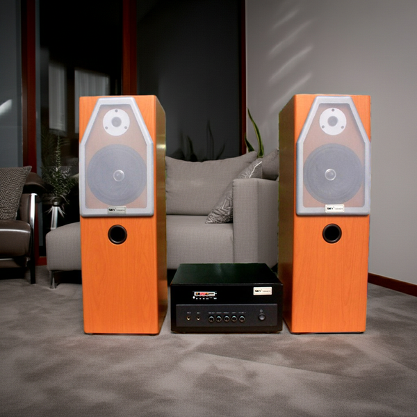 Dàn loa cây karaoke gia đình V610 Grand ( 01 âm ly 380w + cặp V610)