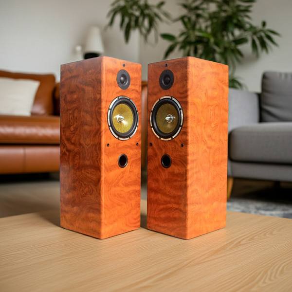 Dàn loa cây karaoke gia đình V610