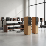 Dàn loa cây karaoke gia đình: W270 Goldsound (đã tích hợp âm ly)