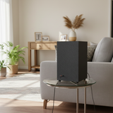 Loa karaoke Bluetooth W242 (giá không micro)