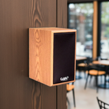 Loa vệ tinh để bàn V15_TH - công suất 15w