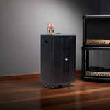 Loa kéo D550 Goldsound (Bass 40 cm, 550w, kèm 2 Micro)