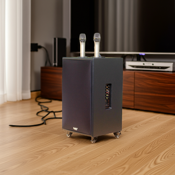 Loa di động D220PU - MI, công suất 220w, pin 4 - 6 tiếng, kèm 2 Micro, 1 bass, 1 treble, bluetooth 5.0, cổng rca, khe usb, thiết kế loa thùng gỗ, cao 57.25 cm, rộng 35.5 cm, sâu 36 cm. Bảo hành 12 tháng