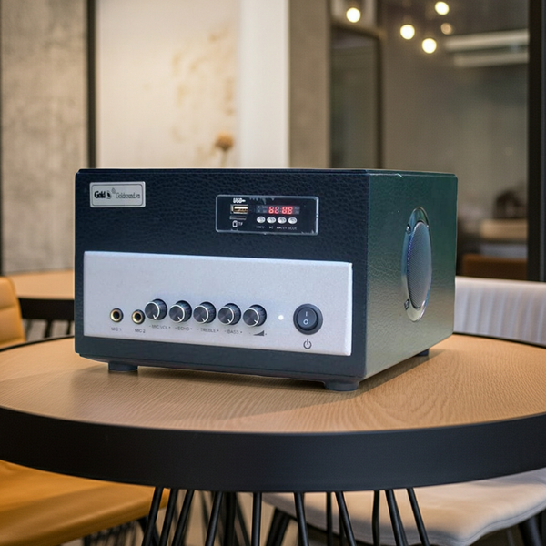 Âm ly A370 Goldsound 370w - 2 cổng Micro