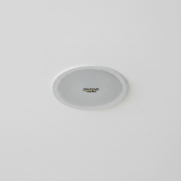 Loa âm trần VAT47 (47w, có gắn biến áp) chuyên cho trung tâm thương mại, khách sạn, toà nhà văn phòng, chung cư, siêu thị, quán cafe, nhà hàng, spa...