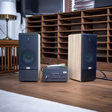 Dàn loa cây V385-A900 (Amply 900w+ loa V385 + Mic có dây)