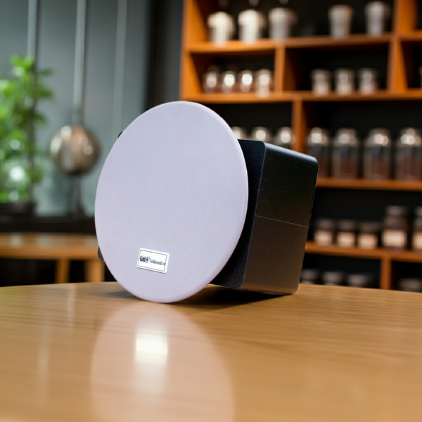 Loa âm trần VAT16 (số lượng 1 con) chuyên cho quán cafe, nhà hàng, toà nhà, khu liên hợp