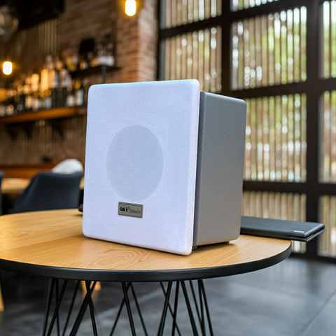 Loa âm trần thùng gỗ VAT20 - dành cho quán cafe (cà phê), quán trà, khách sạn, nhà hàng..