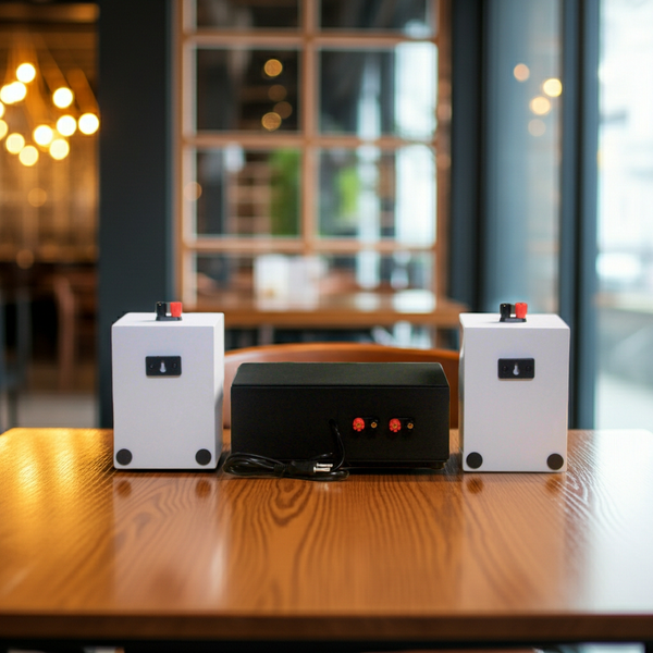 Dàn loa treo tường thông báo phát nhạc nền: 1 Amply A2.0 + 2 loa treo tường thông báo phát nhạc nền tự động V12, Amply, loa được thiết kế riêng cho quán, bật lớn không tạp âm, bảo hành dài hạn 5 năm.