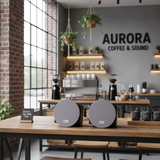 Loa âm trần VAT16 (số lượng 1 con) chuyên cho quán cafe, nhà hàng, toà nhà, khu liên hợp