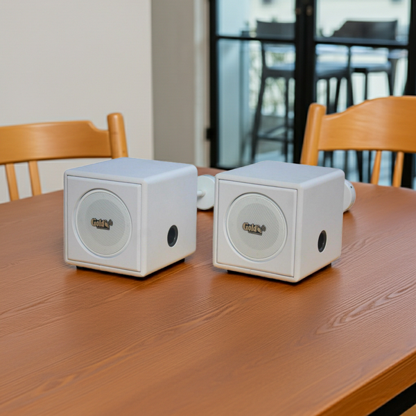 Loa thả trần V55TR-PU_TH phủ da PU màu trắng (số lượng 1 loa), công suất 55w, loa bass 4 inch, kích thước rộng 19 cm, cao 19 cm, sâu 21 cm, bảo hành dài hạn 5 năm.