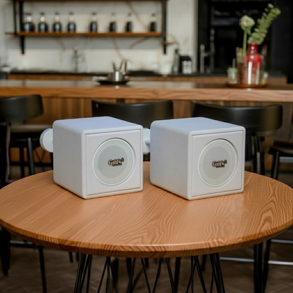 Loa thả trần V55TR-PU_TH phủ da PU màu trắng (số lượng 1 loa), công suất 55w, loa bass 4 inch, kích thước rộng 19 cm, cao 19 cm, sâu 21 cm, bảo hành dài hạn 5 năm.