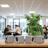 Loa âm trần thông báo, phát nhạc nền tự động: Combo Amply A400+ 4loa âm trần VAT25