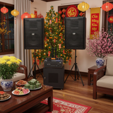 Loa hội trường, sân khấu E258: Dàn âm thanh sân khấu, sân trường, hội trường