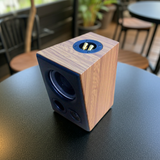 Loa vệ tinh V51C - 30w (1 chiếc)