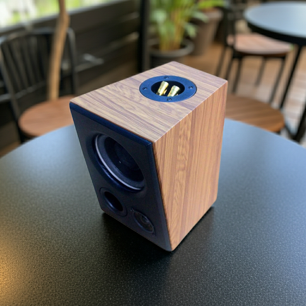 Loa vệ tinh V51C - 30w (1 chiếc)