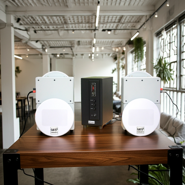 Loa âm trần thông báo, phát nhạc nền: Âm ly A155 + 4 VAT38, loa được thiết kế riêng cho quán, bật lớn không tạp âm, miễn phí công lắp đặt, bảo hành dài hạn 5 năm.