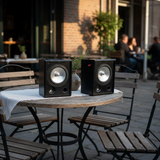 Loa vệ tinh treo tường sân vườn chống nước V80 - 80w (1 chiếc)