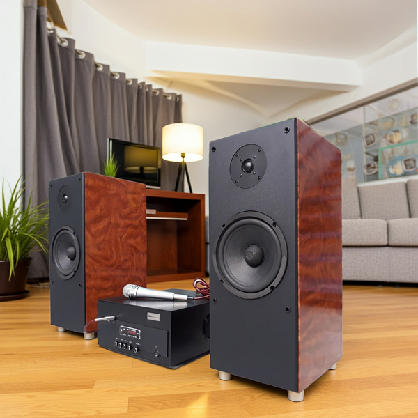 Dàn karaoke gia đình V385-A900 (Âm ly 900w+ cặp loa V385) Goldsound