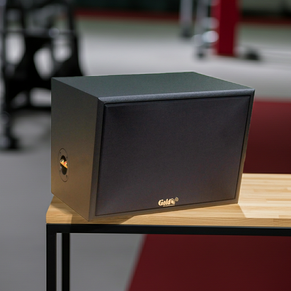 Loa Goldsound vệ tinh treo tường V130 DA (Số lượng 1 loa), công suất 130w, loa bass 20 cm, treble 10 cm, kích thước rộng 37 cm, cao 27.5 cm, sâu 28.5 cm, bảo hành dài hạn 5 năm.